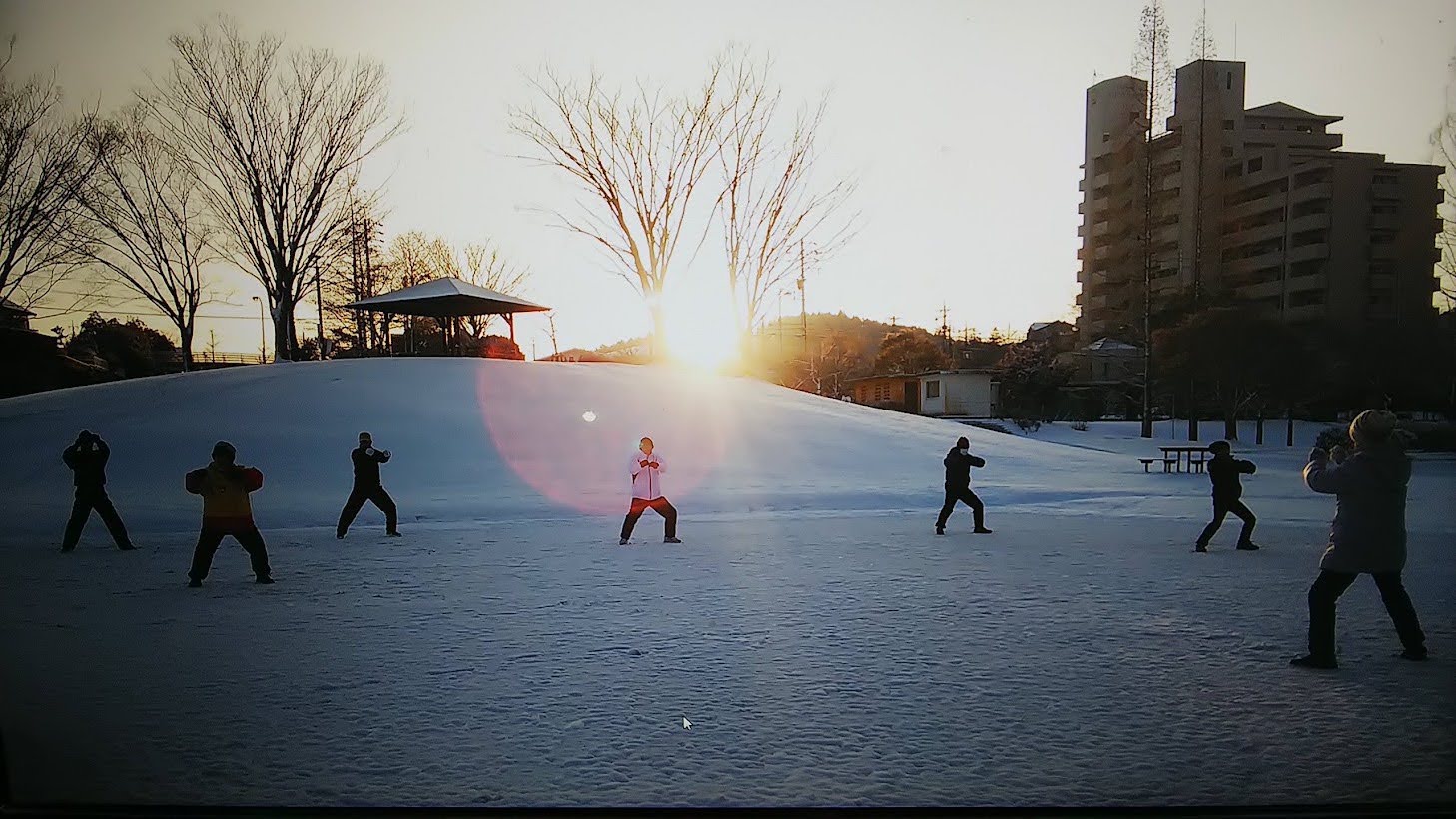 公園で太極拳をする人々