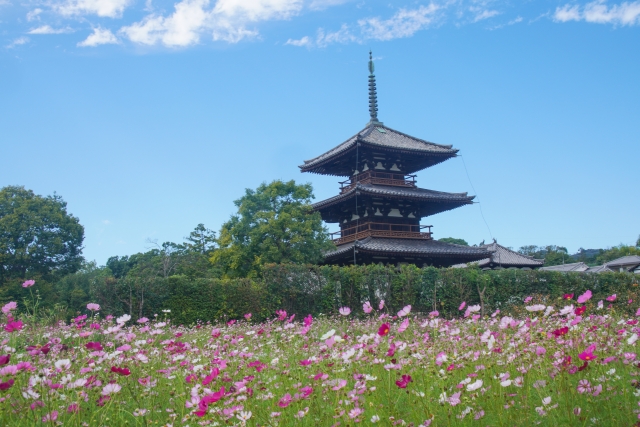 奈良の塔