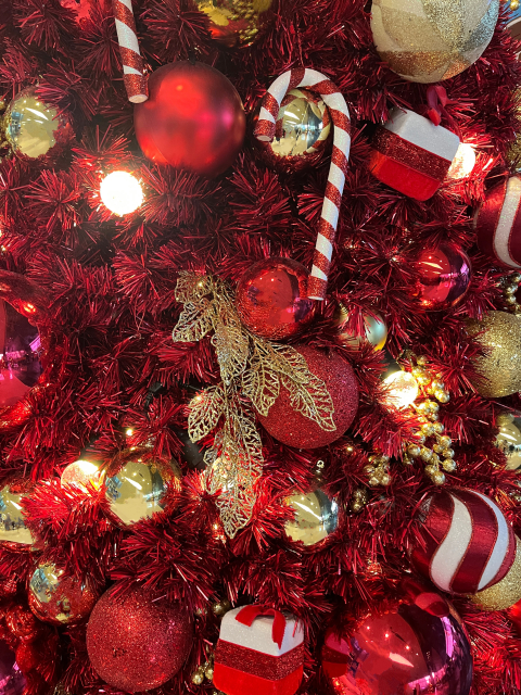 キャンディケーン